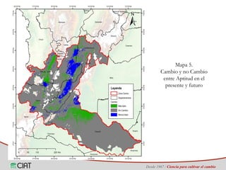 Identificación de áreas geográficas con potencial para la producción de arroz en Colombia ante escenarios de cambio climático