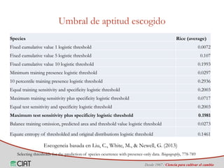 Identificación de áreas geográficas con potencial para la producción de arroz en Colombia ante escenarios de cambio climático