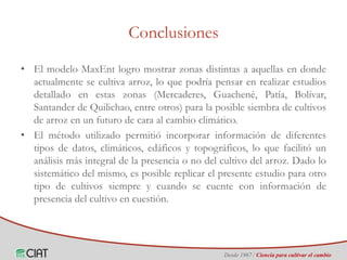 Identificación de áreas geográficas con potencial para la producción de arroz en Colombia ante escenarios de cambio climático