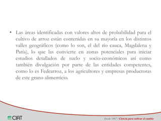 Identificación de áreas geográficas con potencial para la producción de arroz en Colombia ante escenarios de cambio climático