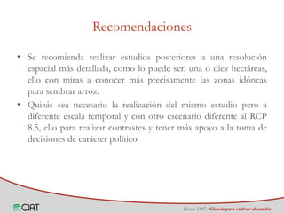 Identificación de áreas geográficas con potencial para la producción de arroz en Colombia ante escenarios de cambio climático