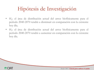 Identificación de áreas geográficas con potencial para la producción de arroz en Colombia ante escenarios de cambio climático