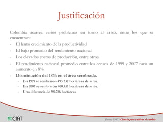 Identificación de áreas geográficas con potencial para la producción de arroz en Colombia ante escenarios de cambio climático