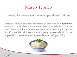 Identificación de áreas geográficas con potencial para la producción de arroz en Colombia ante escenarios de cambio climático