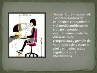  Temperatura y humedad.
 Los intercambios de
 calor entre el organismo
 y el medio ambiente de
 trabajo dependen
 cualitativamente de las
 diferencias de
 temperatura y presión de
 vapor que existe entre la
 piel y el medio, están
 regulados por 3
 mecanismos.
 