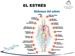 EL ESTRÉS
 