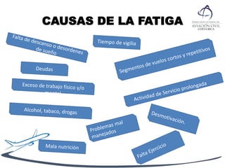 CAUSAS DE LA FATIGA
 