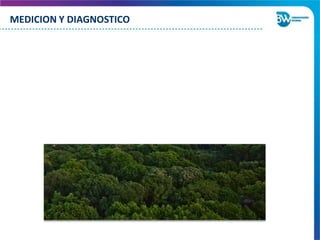 MEDICION Y DIAGNOSTICO
 