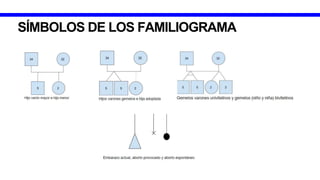SÍMBOLOS DE LOS FAMILIOGRAMA
 