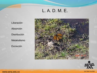 L. A. D. M. E.
Liberación
Absorción
Distribución
Metabolismo
Excreción

 