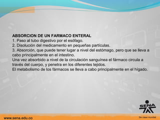 ABSORCION DE UN FARMACO ENTERAL
1. Paso al tubo digestivo por el esófago.
2. Disolución del medicamento en pequeñas partículas.
3. Absorción, que puede tener lugar a nivel del estómago, pero que se lleva a
cabo principalmente en el intestino.
Una vez absorbido a nivel de la circulación sanguínea el fármaco circula a
través del cuerpo, y penetra en los diferentes tejidos.
El metabolismo de los fármacos se lleva a cabo principalmente en el hígado.

 