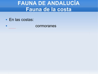 FAUNA DE ANDALUCÍA Fauna de la costa En las costas:  cormoranes 