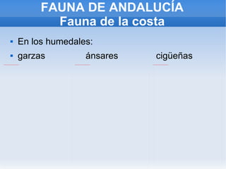 FAUNA DE ANDALUCÍA Fauna de la costa En los humedales: garzas  ánsares  cigüeñas 
