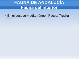 FAUNA DE ANDALUCÍA Fauna del interior En el bosque mediterráneo:  Peces: Trucha 