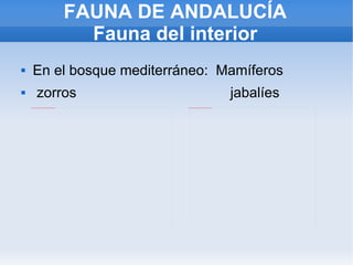 FAUNA DE ANDALUCÍA Fauna del interior En el bosque mediterráneo:  Mamíferos zorros  jabalíes  