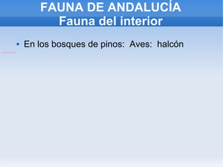 FAUNA DE ANDALUCÍA Fauna del interior En los bosques de pinos:  Aves:  halcón 