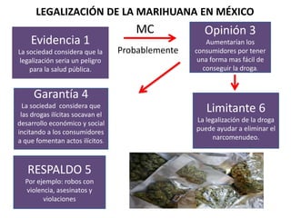Presentacion fer | PPT