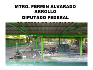 MTRO. FERMIN ALVARADO ARROLLO DIPUTADO FEDERAL DE CERCA DE ACAPULCO 