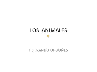 LOS ANIMALES
FERNANDO ORDOÑES
 