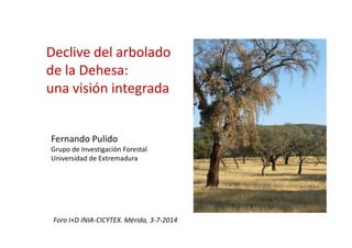 Declive del arbolado
de la Dehesa:
una visión integrada
Fernando Pulido
Grupo de Investigación Forestal
Universidad de Extremadura
Foro I+D INIA-CICYTEX. Mérida, 3-7-2014
 