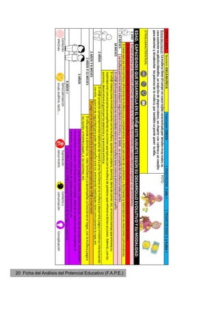 20 Ficha del Análisis del Potencial Educativo (F.A.P.E.)
 