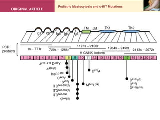 Pediatric Mastocytosis and c-KIT Mutations . 