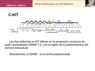Pediatric Mastocytosis and c-KIT Mutations C-KIT  Las dos isoformas en KIT difieren en la presencia o ausencia de cuatro aminoácidos (GNNK + ò -) en el región de la juxtamembrana del dominio extracelular Normalmente, el GNNK – es la forma predominante 