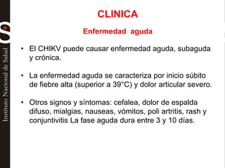 • El CHIKV puede causar enfermedad aguda, subaguda
y crónica.
• La enfermedad aguda se caracteriza por inicio súbito
de fiebre alta (superior a 39°C) y dolor articular severo.
• Otros signos y síntomas: cefalea, dolor de espalda
difuso, mialgias, nauseas, vómitos, poli artritis, rash y
conjuntivitis La fase aguda dura entre 3 y 10 días.
CLINICA
Enfermedad aguda
 