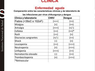Comparación entre las características clínicas y de laboratorio de
las infecciones por virus chikungunya y dengue
Clìnica y laboratorio CHKV Dengue
Fiebre (>39oC o 102oF) (+++) (++)
Mialgias (+) (++)
Artralgia (+++) (+/-)
Cefalea (++) (++)*
Rash (++) (+)
Discracias sangrantes (+/-) (++)
Shock (-) (+)
Leucopenia (++) (+++)
Neutropenia (+) (+++)
Linfopenia (+++) (++)
Hematocrito elevado (-) (++)
Trombocitopenia (+) (+++)
*Retroocular
CLINICA
Enfermedad aguda
 