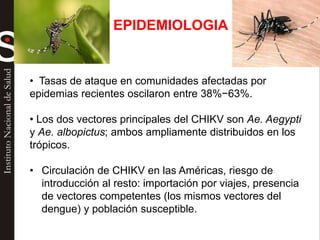 EPIDEMIOLOGIA
• Tasas de ataque en comunidades afectadas por
epidemias recientes oscilaron entre 38%−63%.
• Los dos vectores principales del CHIKV son Ae. Aegypti
y Ae. albopictus; ambos ampliamente distribuidos en los
trópicos.
• Circulación de CHIKV en las Américas, riesgo de
introducción al resto: importación por viajes, presencia
de vectores competentes (los mismos vectores del
dengue) y población susceptible.
 