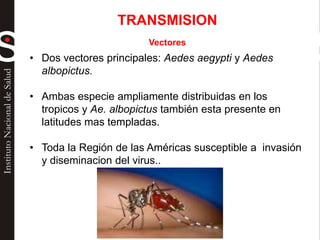 TRANSMISION
Vectores
• Dos vectores principales: Aedes aegypti y Aedes
albopictus.
• Ambas especie ampliamente distribuidas en los
tropicos y Ae. albopictus también esta presente en
latitudes mas templadas.
• Toda la Región de las Américas susceptible a invasión
y diseminacion del virus..
 