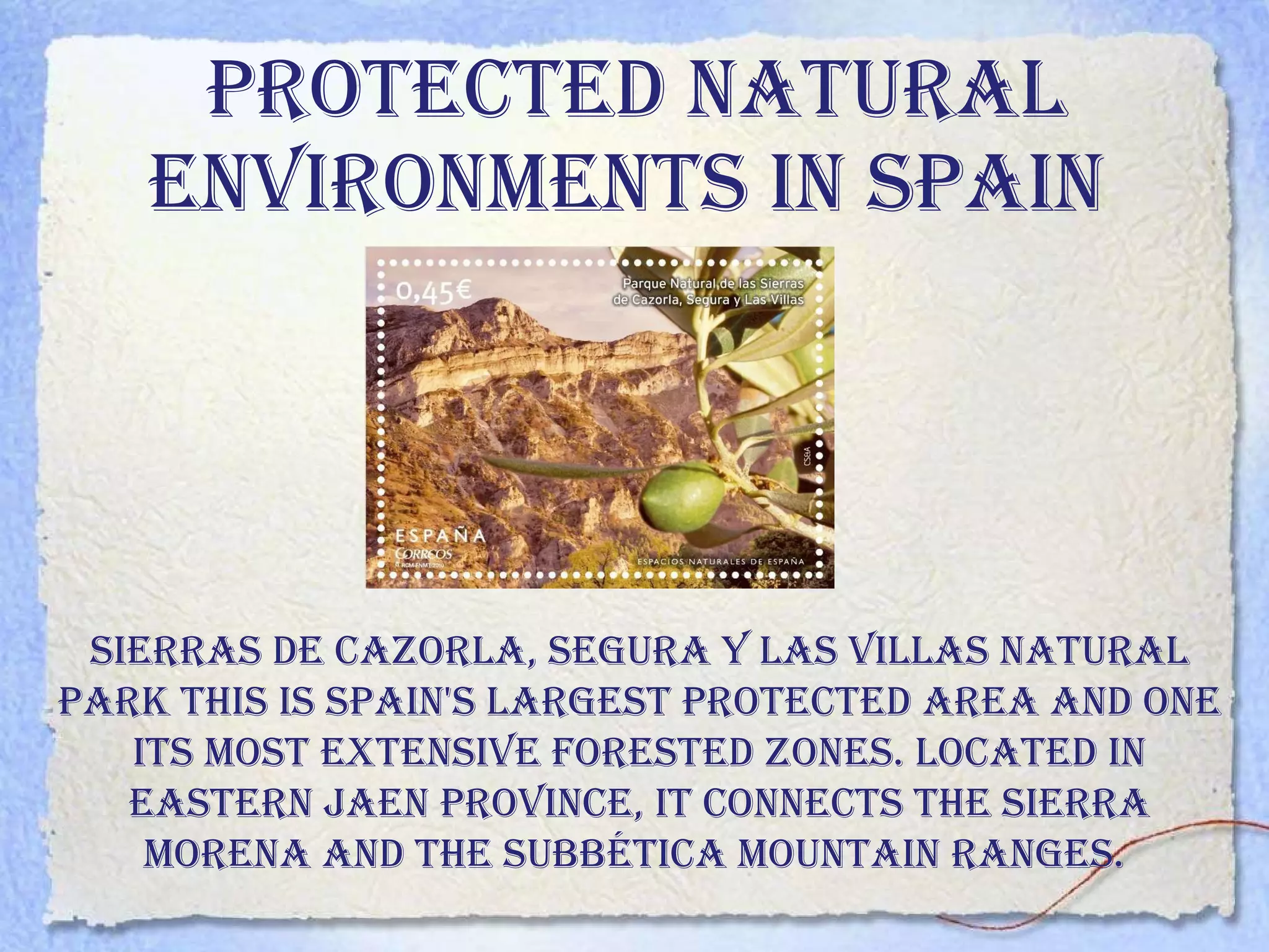 PROTECTED NATURAL ENVIRONMENTS IN spain   Sierras de Cazorla, Segura y Las Villas Natural Park this is Spain's largest protected area and one its most extensive forested zones. Located in eastern Jaen province, it connects the Sierra Morena and the Subbética mountain ranges.  