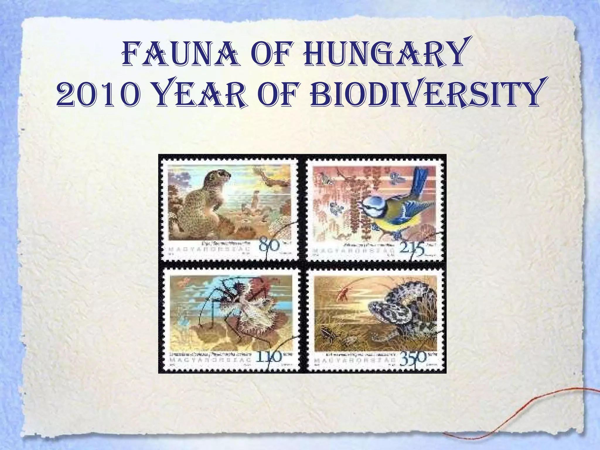 FAUNA OF HUNGARY  2010 YEAR OF BIODIVERSITY 