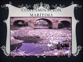 CONTAMINACIÓN
MARÍTIMA
 