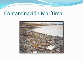 Contaminacion Marina