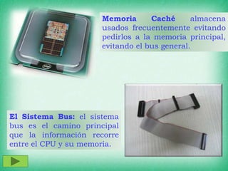 Memoria Caché almacena
usados frecuentemente evitando
pedirlos a la memoria principal,
evitando el bus general.
El Sistema Bus: el sistema
bus es el camino principal
que la información recorre
entre el CPU y su memoria.
 