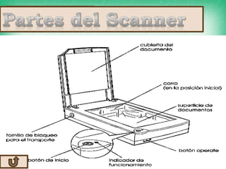 Periférico
de entrada
convertir
 