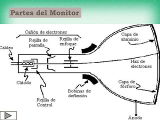 Partes del Monitor
 