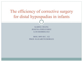 KAROL CHANG JESENIA FERNÁNDEZ LUIS RODRÍGUEZ BIOL 3095 SEC. 122 PROF. ELIZABETH BORGES The efficiency of corrective surgery for distal hypospadias in infants 