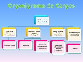 Organigrama de Cargos
