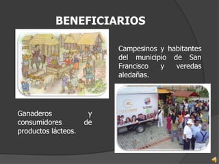 BENEFICIARIOS

                          Campesinos y habitantes
                          del municipio de San
                          Francisco  y   veredas
                          aledañas.




Ganaderos             y
consumidores         de
productos lácteos.
 