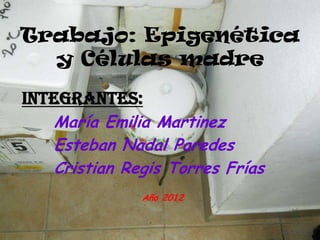 Trabajo: Epigenética
y Células madre
Integrantes:
María Emilia Martinez
Esteban Nadal Paredes
Cristian Regis Torres Frías
Año 2012
 