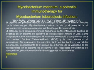 Mycobacterium marinum: a potential
immunotherapy for
Mycobacterium tuberculosis infection.
Tian WW, Wang QQ, Liu WD, Shen JP, Wang HS.El objetivo del presente estudio fue investigar la respuesta inmune inducida
por la infección por Mycobacterium marinum in vitro y el potencial de M.
marinum como inmunoterapia para la infección por M. tuberculosis.
El potencial de la respuesta inmune humana a ciertas infecciones bacillus se
investigó en un sistema de cocultivo de células-bacilo inmune in vitro. Como
una posible nueva inmunoterapia, M. marinum se estudió y comparó con otros
dos bacilos, Bacillus Calmette-Guérin (BCG) y la viva atenuada M.
tuberculosis. Se examinaron los cambios, tanto en los bacilos y las células
inmunitarias, especialmente la evolución en el tiempo de la viabilidad de las
micobacterias en el sistema de co-cultivo y las respuestas inmunitarias del
huésped incluyendo formación de células gigantes multinucleares.
Referencia
4
 