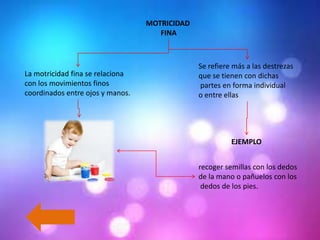 MOTRICIDAD
FINA

La motricidad fina se relaciona
con los movimientos finos
coordinados entre ojos y manos.

Se refiere más a las destrezas
que se tienen con dichas
partes en forma individual
o entre ellas

EJEMPLO
recoger semillas con los dedos
de la mano o pañuelos con los
dedos de los pies.

 