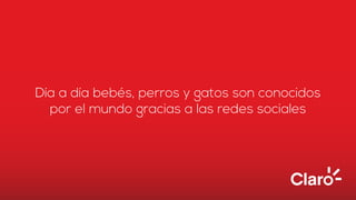 Día a día bebés, perros y gatos son conocidos
por el mundo gracias a las redes sociales
 