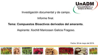 Investigación documental y de campo.
Informe final.
Tema: Compuestos Bioactivos derivados del amaranto.
Aspirante: Xochitl Maricosen Galicia Fragoso.
Fecha: 28 de mayo del 2019.
 