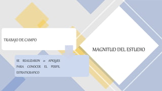 MAGNITUD DEL ESTUDIO
TRABAJO DE CAMPO
SE REALIZARON 21 APIQUES
PARA CONOCER EL PERFIL
ESTRATIGRAFICO
 