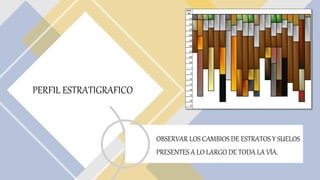 PERFIL ESTRATIGRAFICO
OBSERVAR LOS CAMBIOS DE ESTRATOS Y SUELOS
PRESENTES A LO LARGO DE TODA LA VÍA.
 