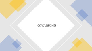 CONCLUSIONES
 