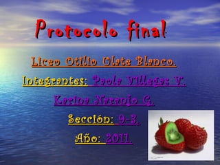 Protocolo final Liceo Otilio Ulate Blanco. Integrantes:   Paola Villegas V. Karina Naranjo G. Sección:   9-3. Año:  2011. 
